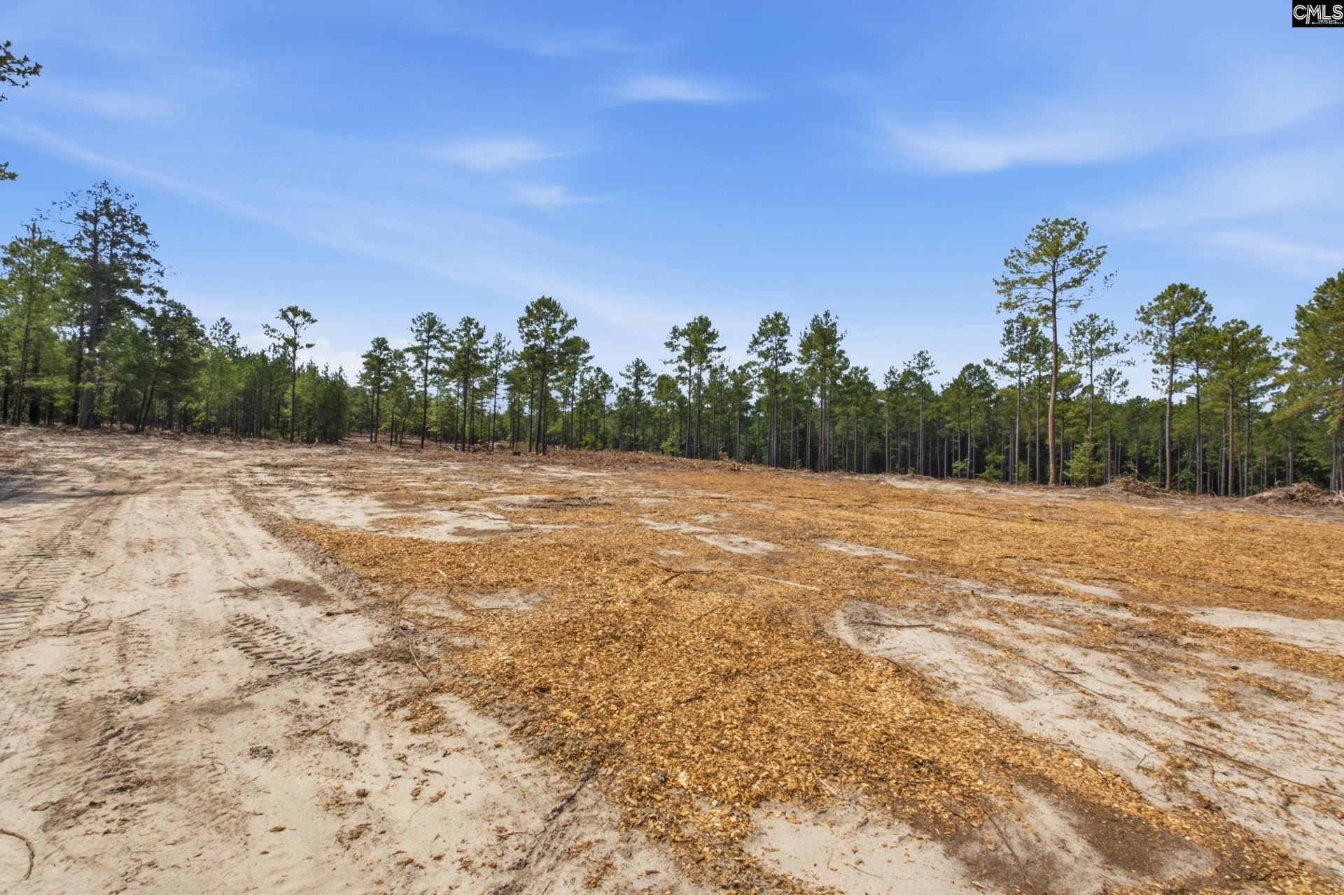 3390 Hunter Road Photo 11