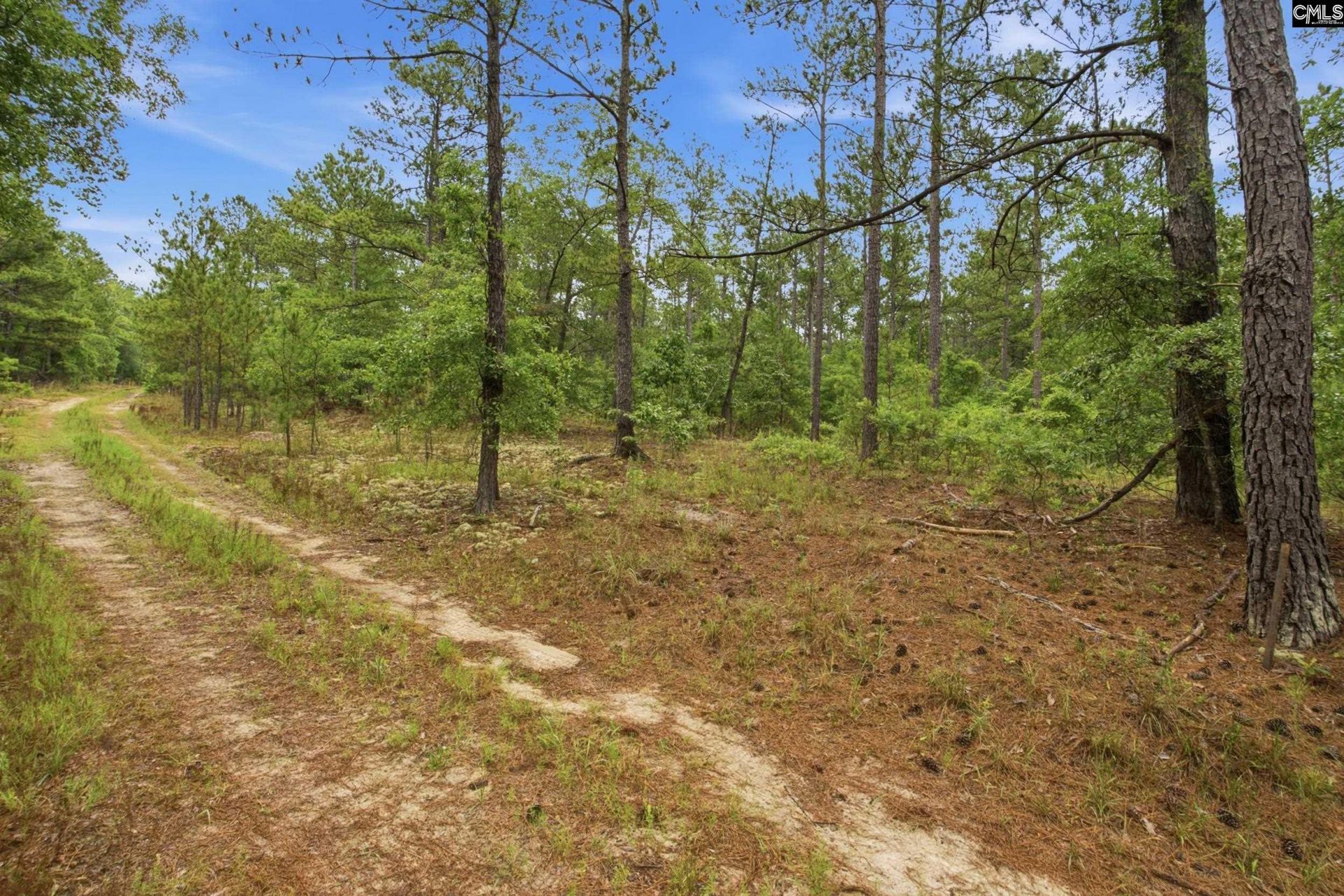 3390 Hunter Road Photo 12