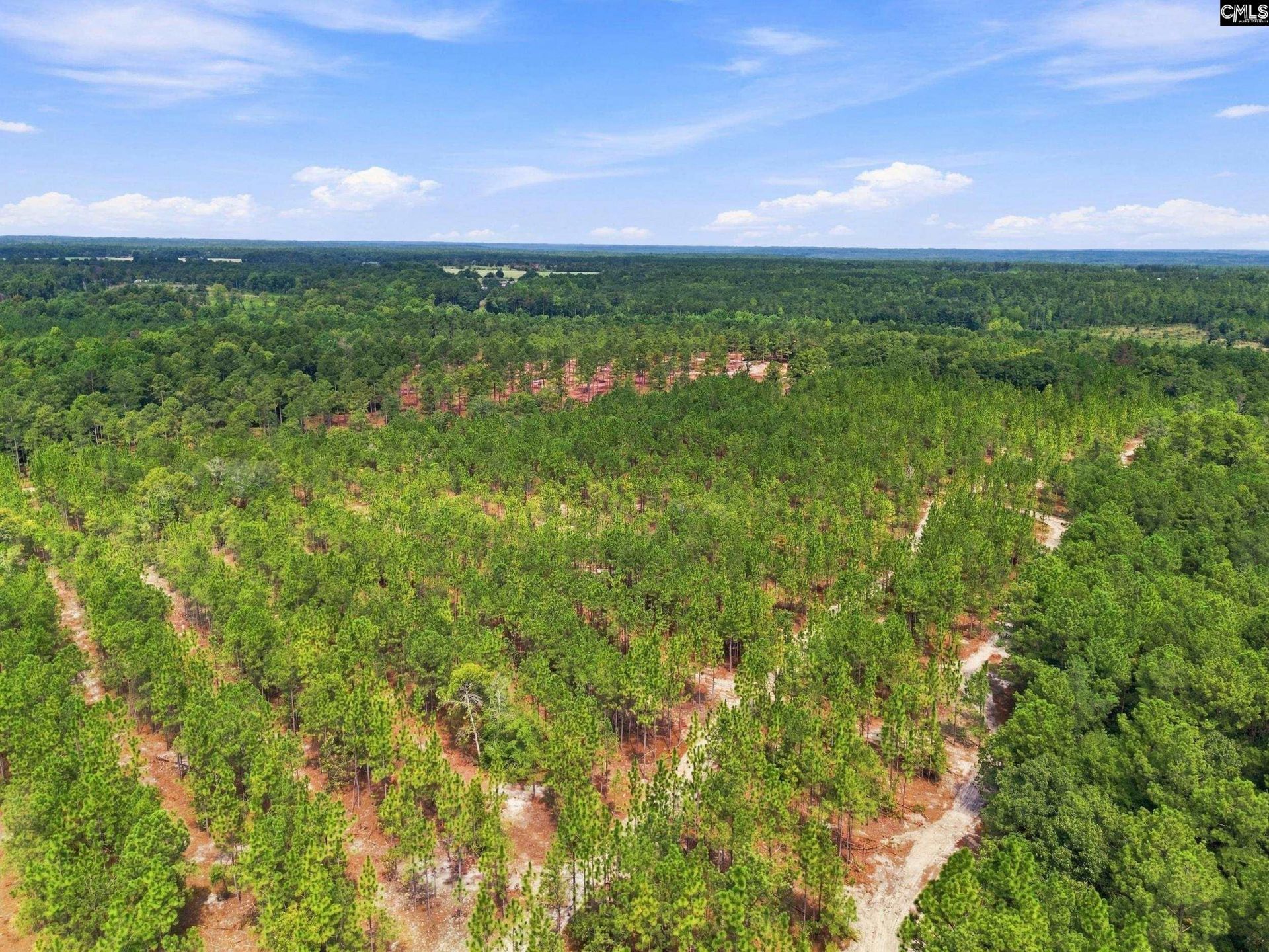 3390 Hunter Road Photo 12