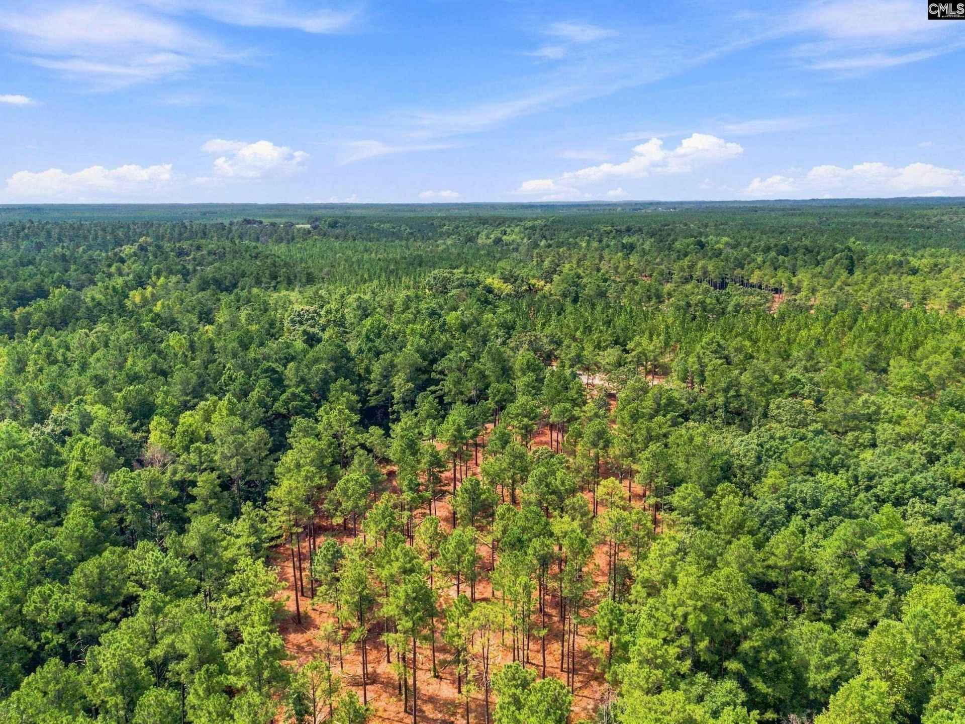 3390 Hunter Road Photo 14