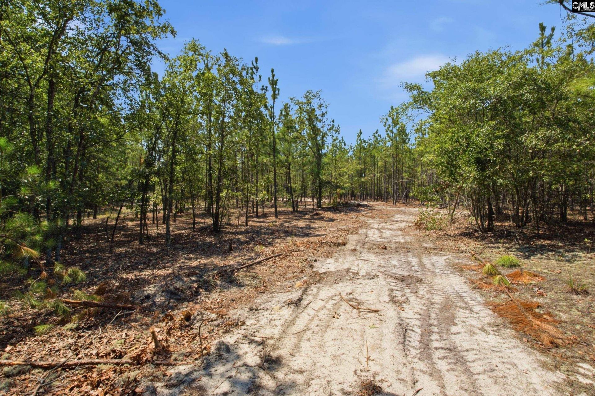 3390 Hunter Road Photo 15