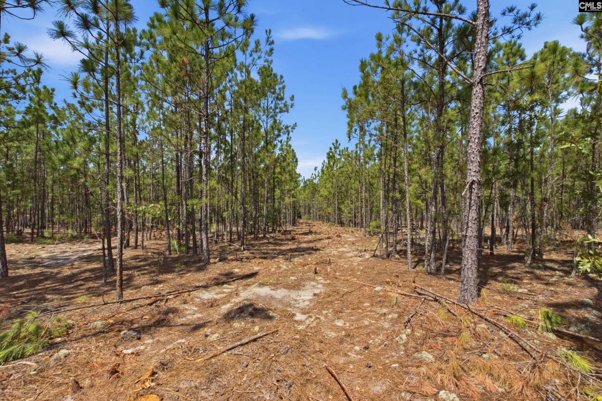 3390 Hunter Road Photo 16