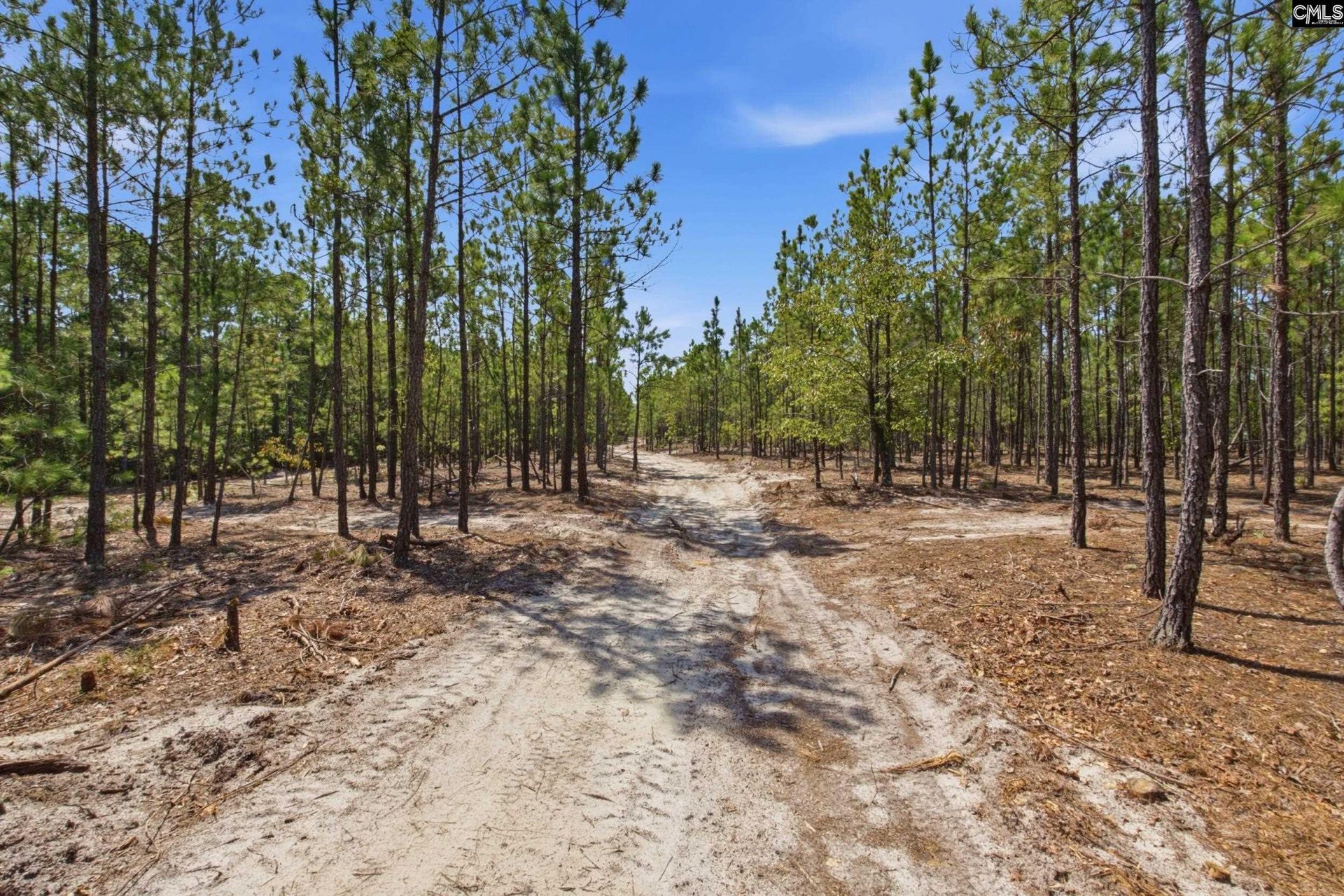 3390 Hunter Road Photo 17