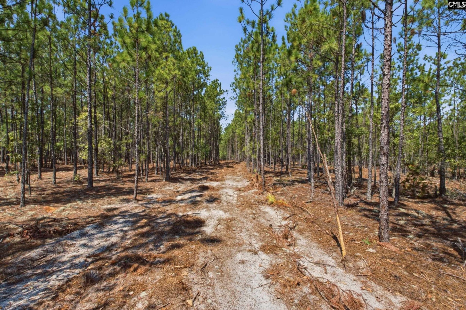 3390 Hunter Road Photo 18