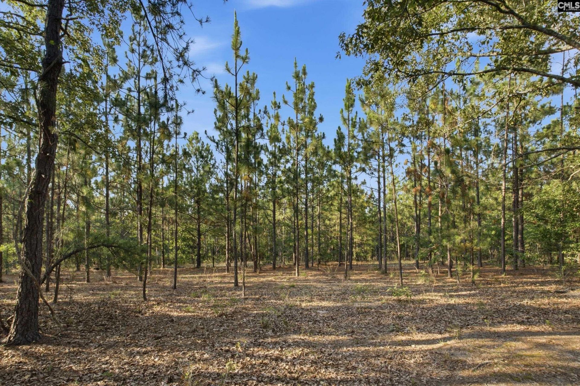 3390 Hunter Road Photo 19