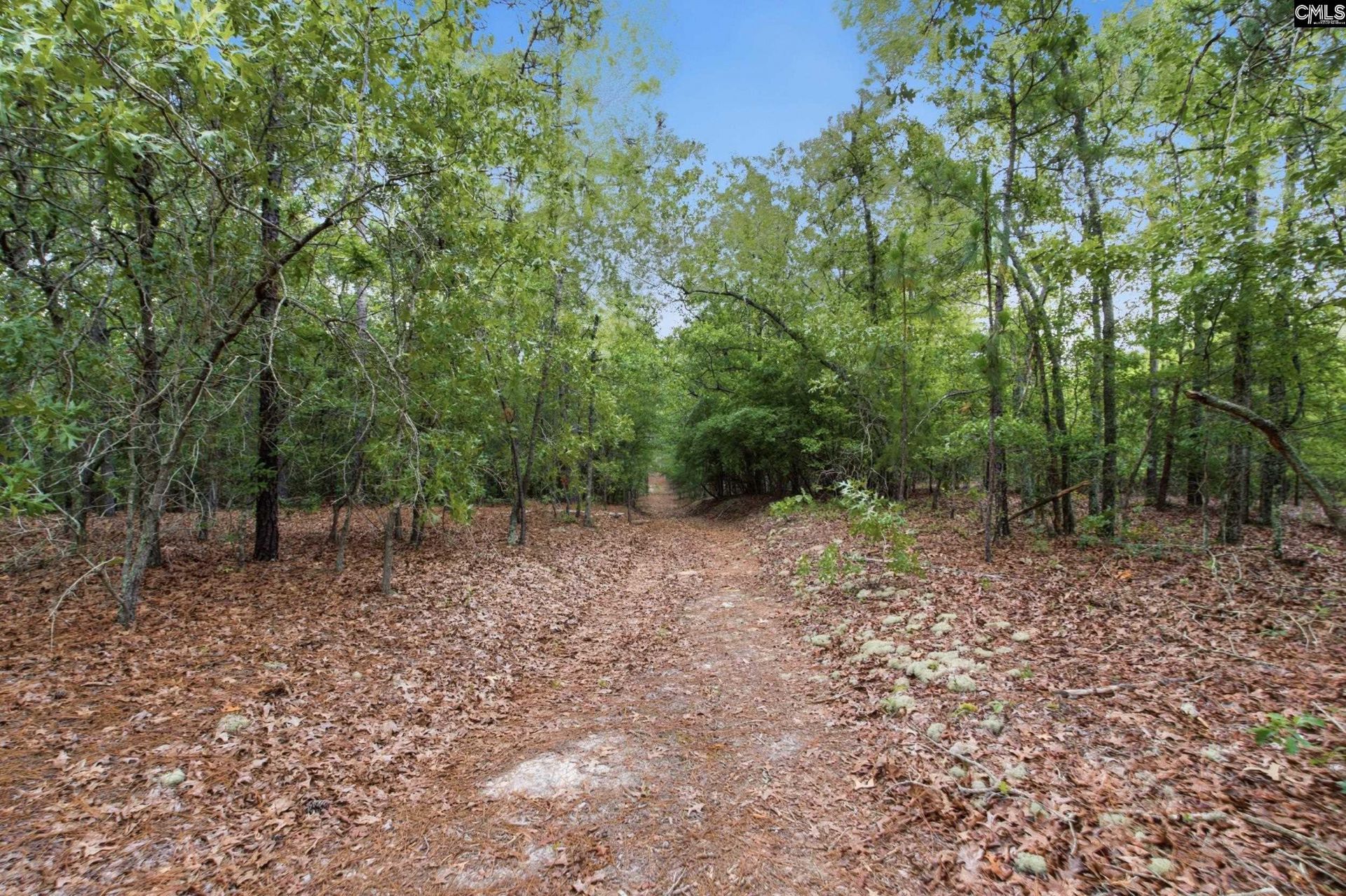 3390 Hunter Road Photo 20