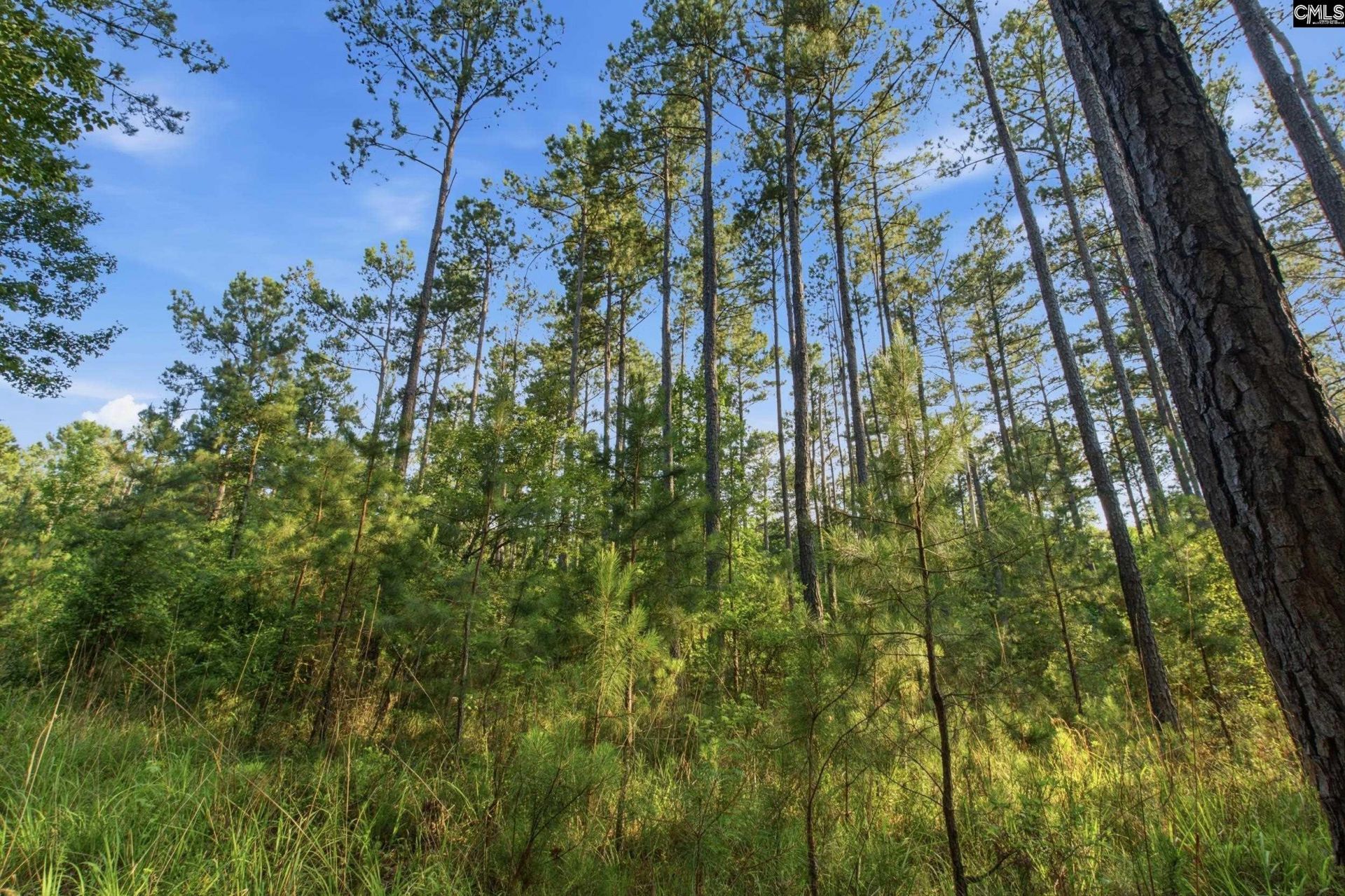 3390 Hunter Road Photo 21