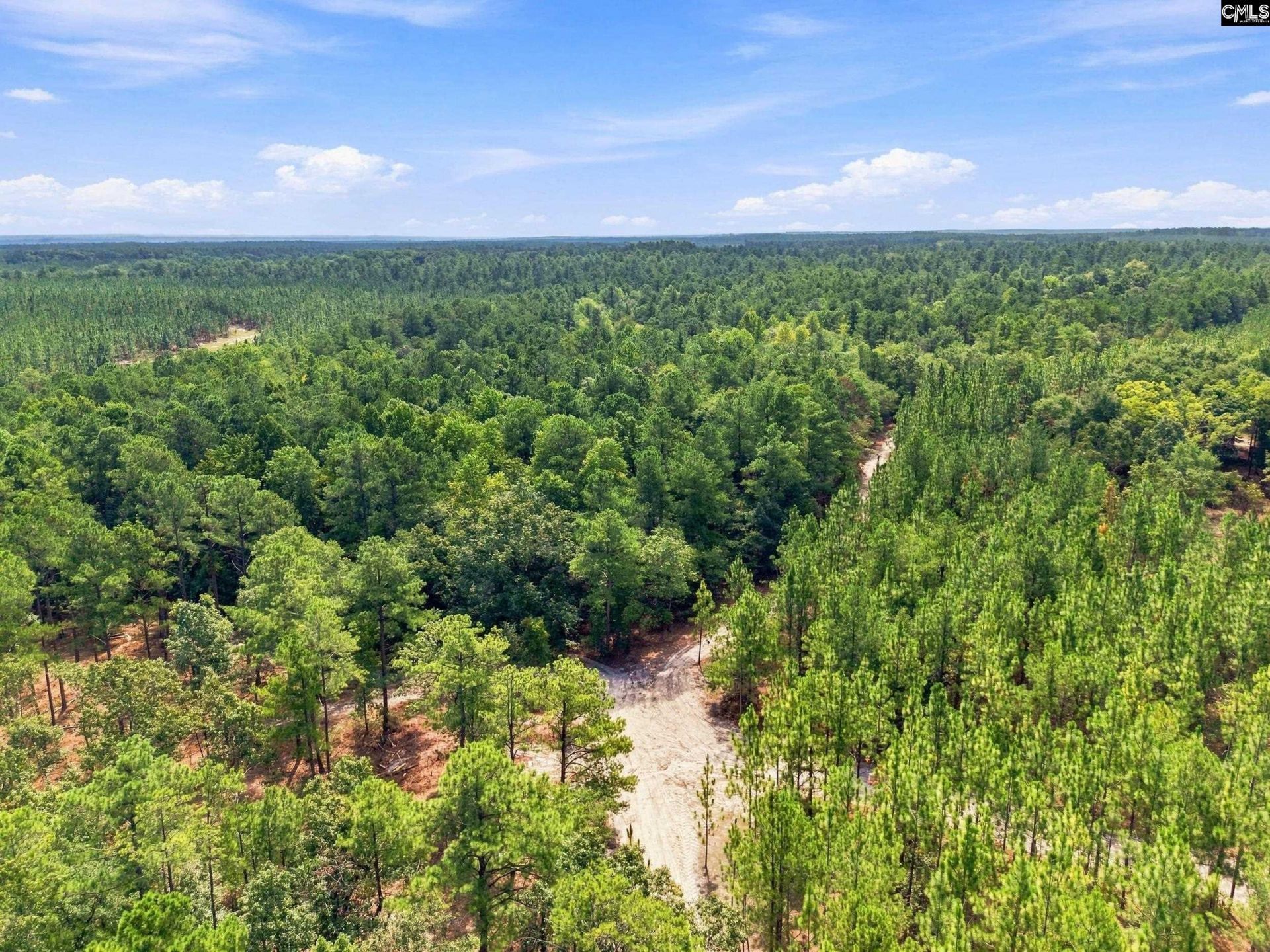 3390 Hunter Road Photo 21