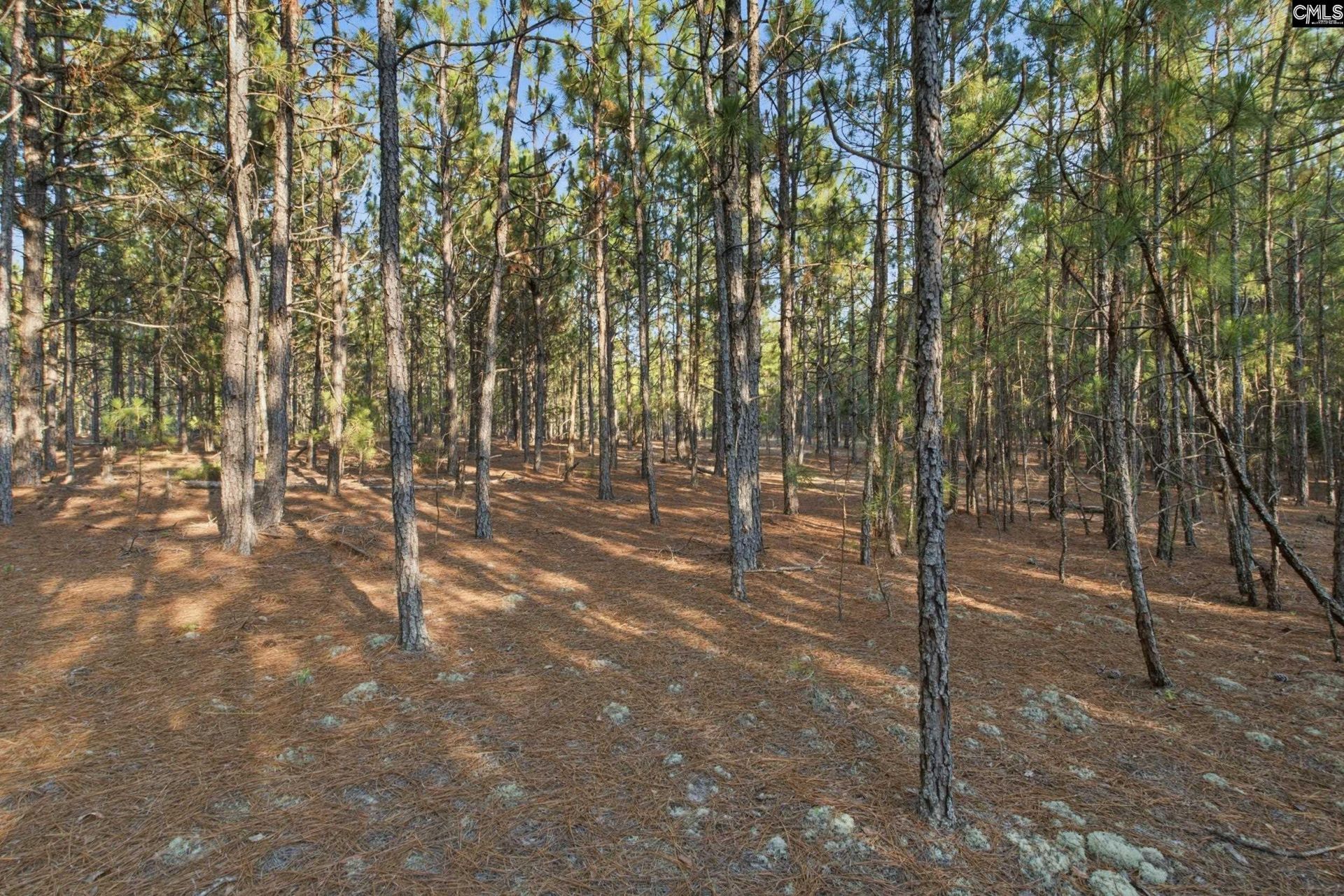 3390 Hunter Road Photo 22