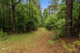 3390 Hunter Road photo 4