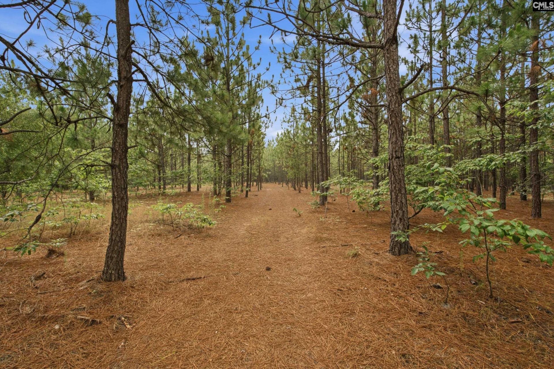 3390 Hunter Road Photo 4