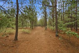 3390 Hunter Road photo 4