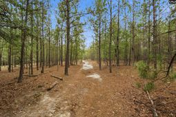 3390 Hunter Road photo 4