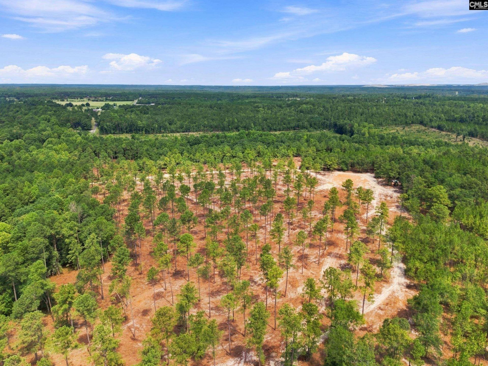 3390 Hunter Road Photo 6