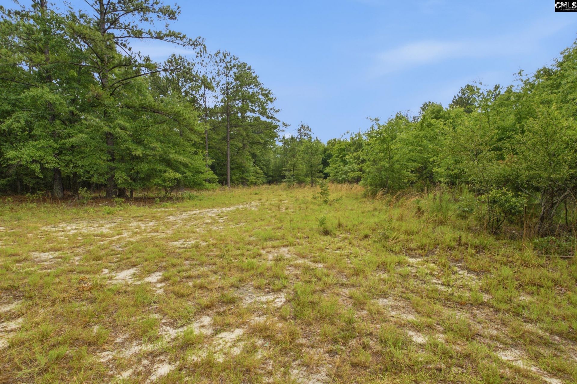 3390 Hunter Road Photo 9
