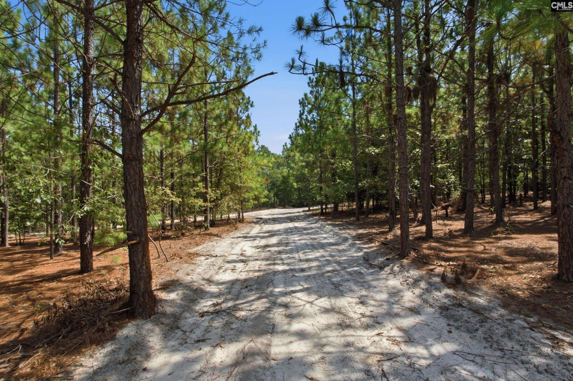 3390 Hunter Road Photo 9