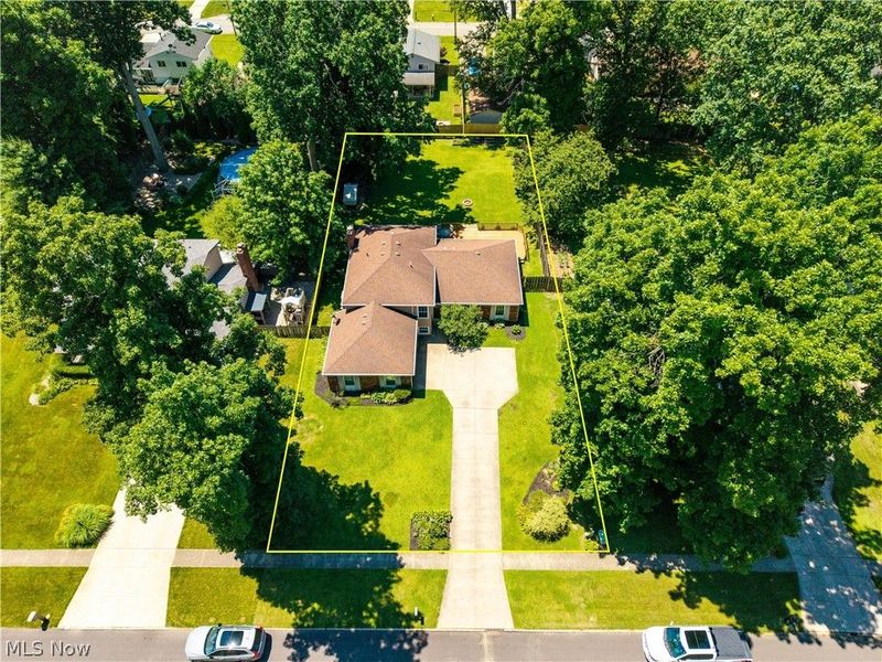 5336 Birch Street, North Ridgeville, OH 44039 Photo 49