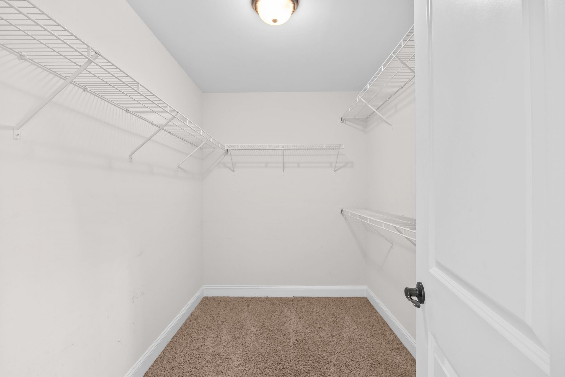 504 Harrington Ct. Photo 17