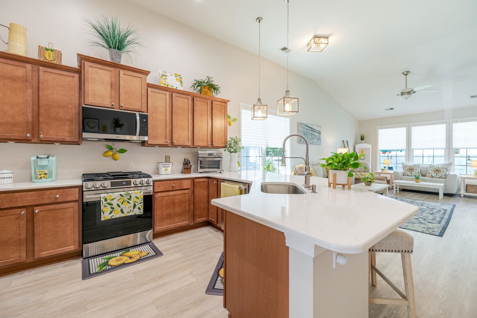 316 Saint Catherine Bay Ct. Photo 9