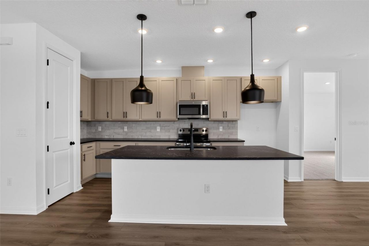 30149 Misty Pines Road , Mount Dora, FL 32757 Photo