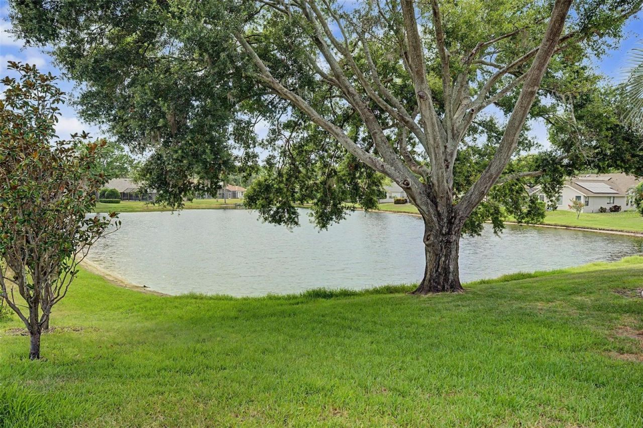 3781 Executive Drive, Palm Harbor, FL 34685 Photo