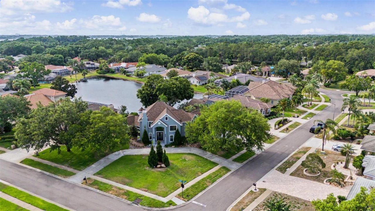 3781 Executive Drive, Palm Harbor, FL 34685 Photo
