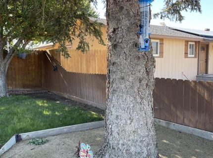 230 N Mountain View Street, Yerington, NV 89447 Photo