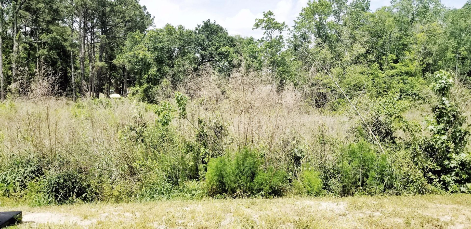 479 Truman Drive Photo 12