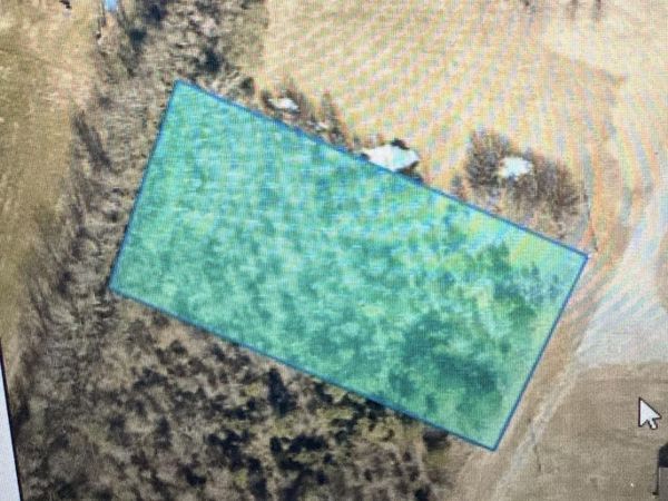 LOT 1 Croom Circle, Leighton, AL 35646