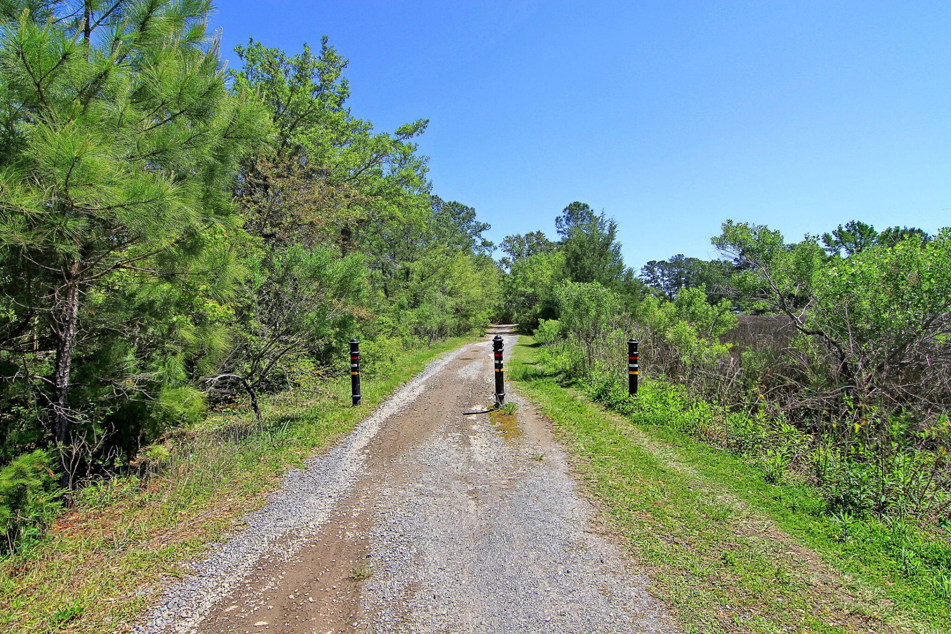 1053 Victoria Road Photo 45