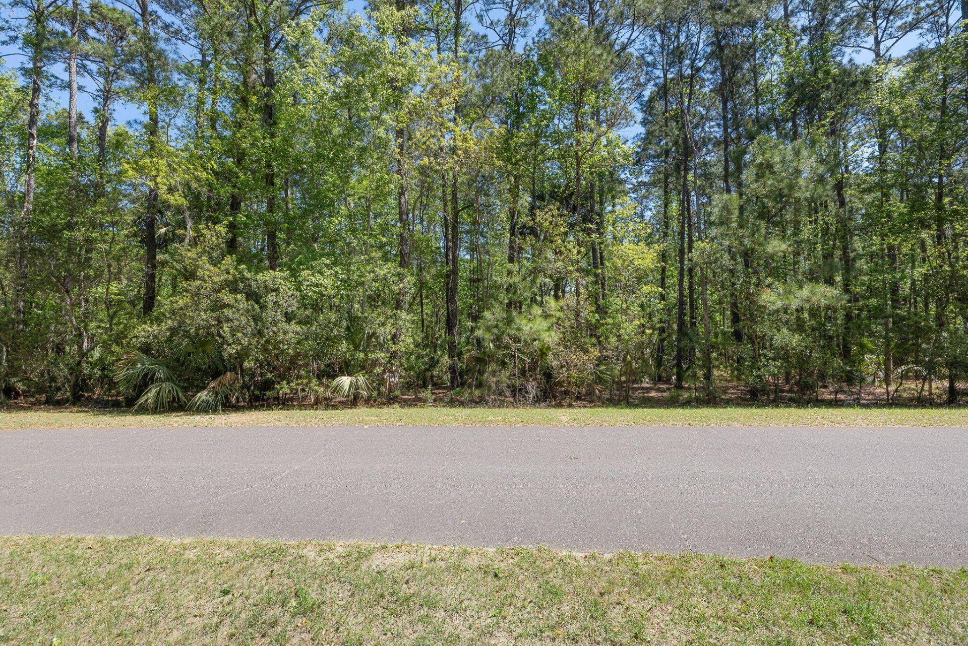 4152 Nesting Egret Drive Photo 5
