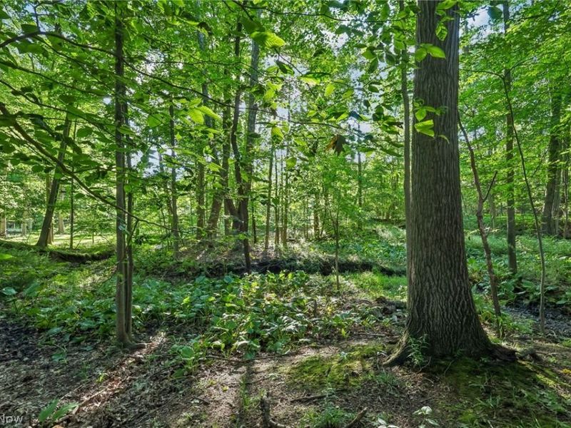 7140 Indian Trail, Poland, OH 44514 Photo 46