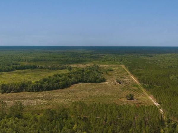 NE 246th St, Old Town, FL 32680