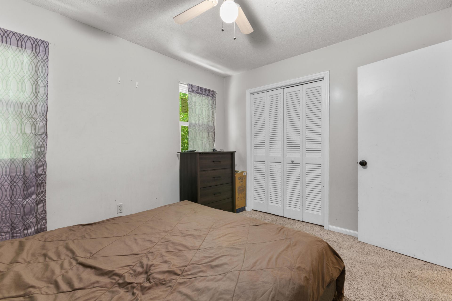 100 Kimeran Lane Photo 10