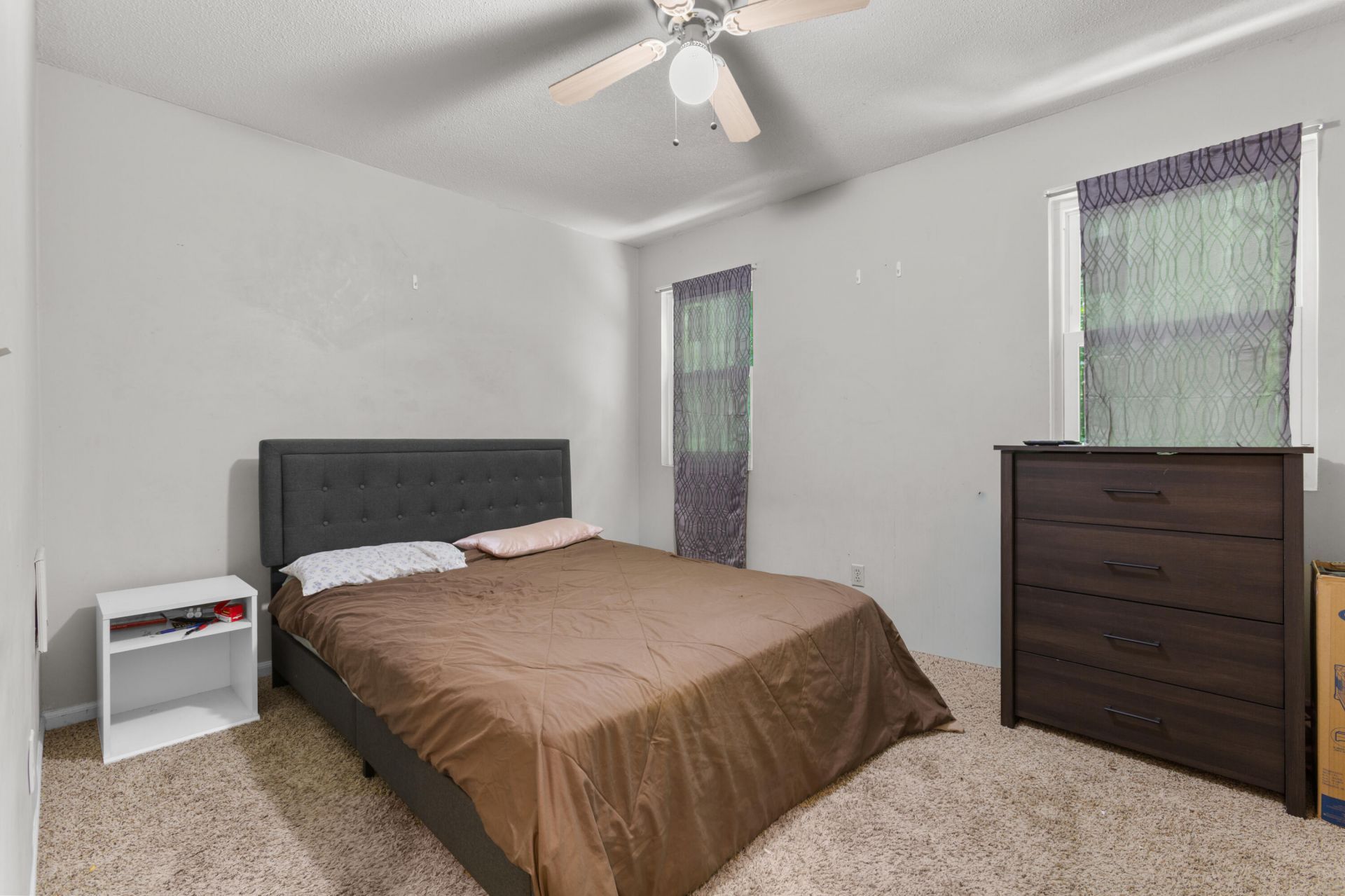 100 Kimeran Lane Photo 9