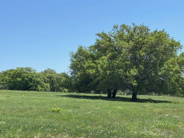 3817 FM 154 RD, Muldoon, TX 78949