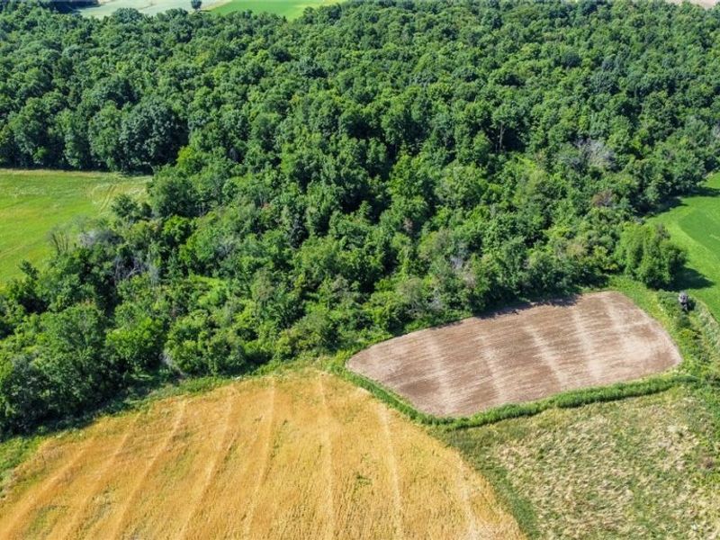 Holshoe Road, Homerville, OH 44235 Photo 14