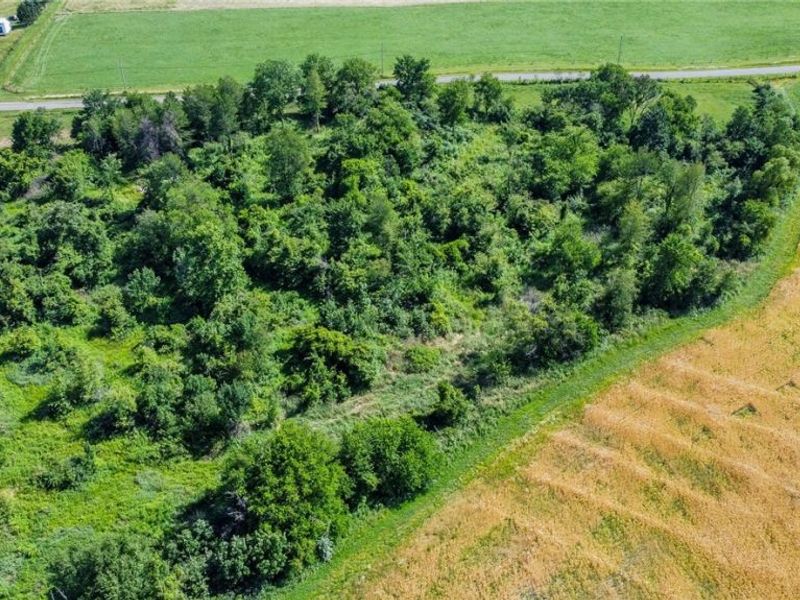 Holshoe Road, Homerville, OH 44235 Photo 15