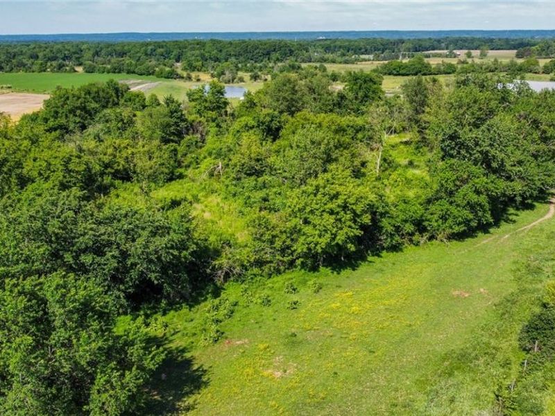 Holshoe Road, Homerville, OH 44235 Photo 18