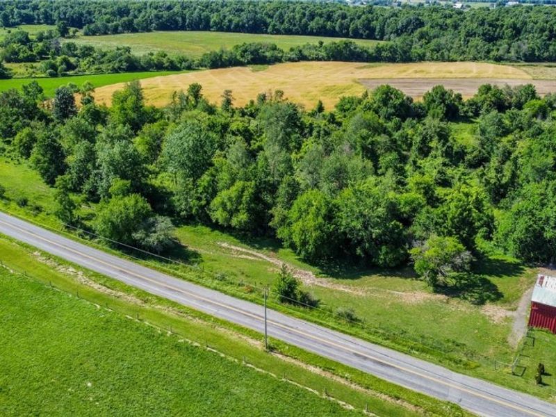 Holshoe Road, Homerville, OH 44235 Photo 19
