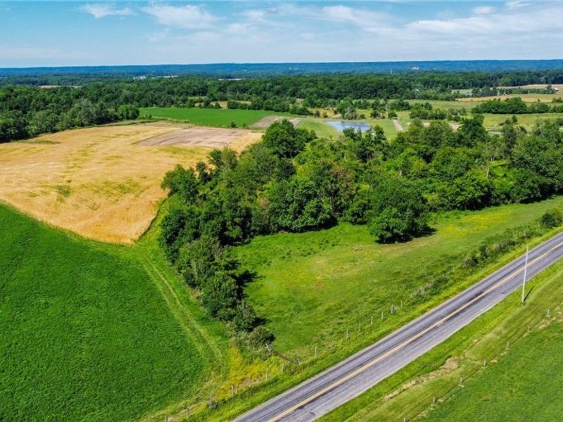 Holshoe Road, Homerville, OH 44235 Photo 2