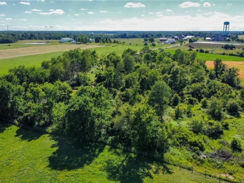 Holshoe Road, Homerville, OH 44235 Photo 21