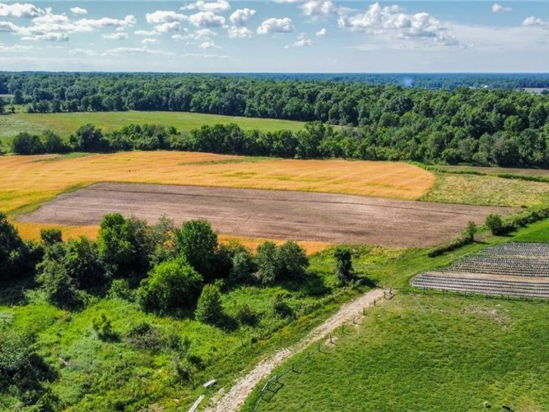 Holshoe Road, Homerville, OH 44235 Photo 22