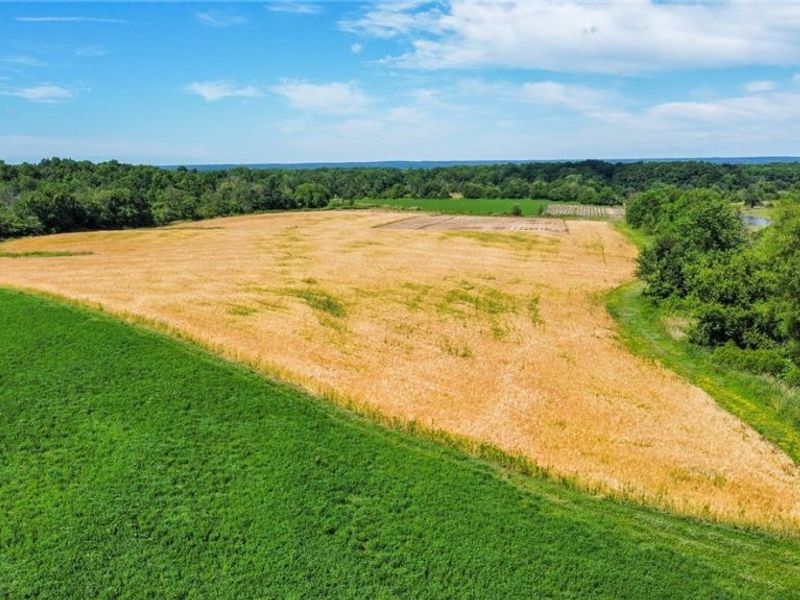 Holshoe Road, Homerville, OH 44235 Photo 6