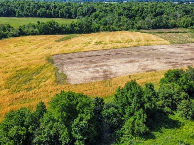 Holshoe Road, Homerville, OH 44235 Photo 7