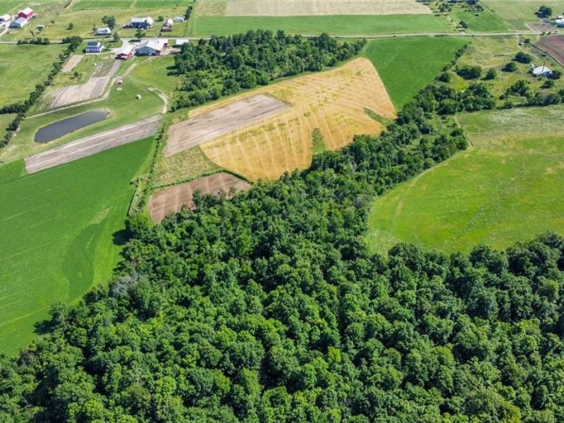Holshoe Road, Homerville, OH 44235 Photo 9