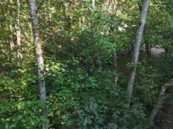0 Lower River Road NW, Georgetown, TN 37336