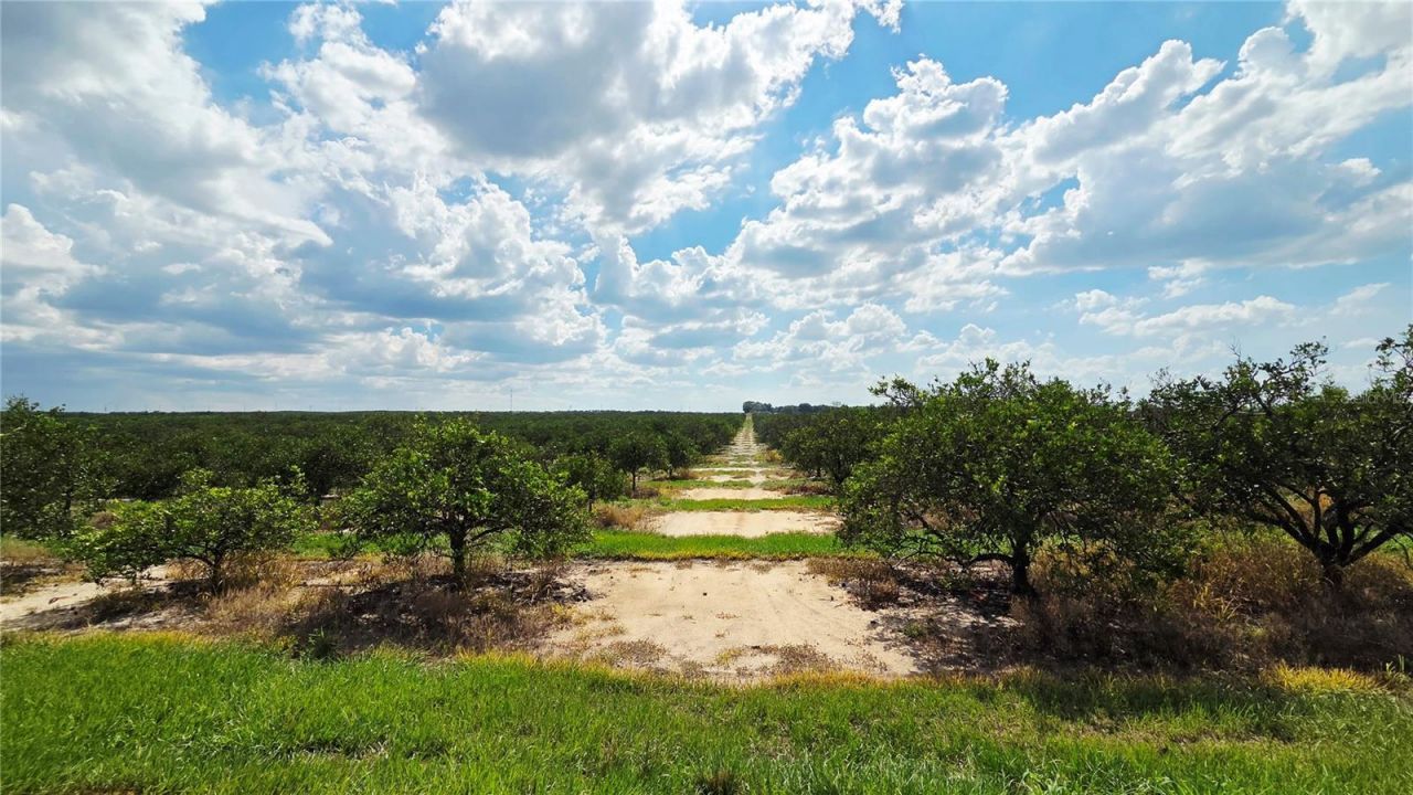 0 Seminole Road , Babson Park, FL 33827 Photo