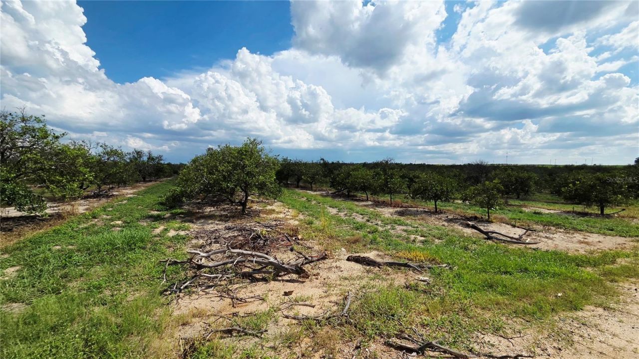 0 Seminole Road , Babson Park, FL 33827 Photo
