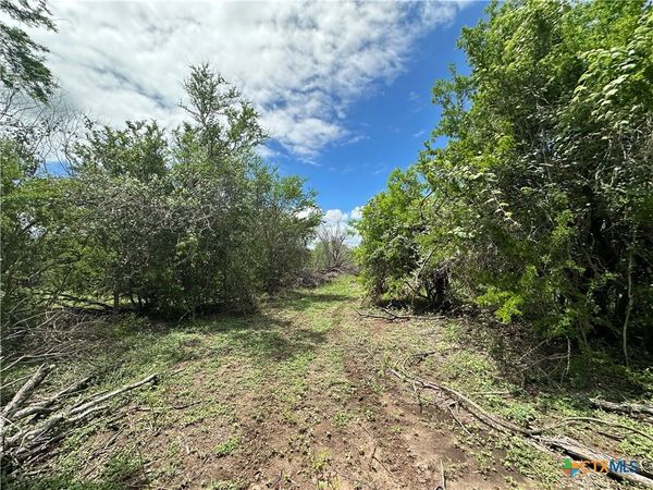 9 Burlin Lane , Meyersville, TX 77974